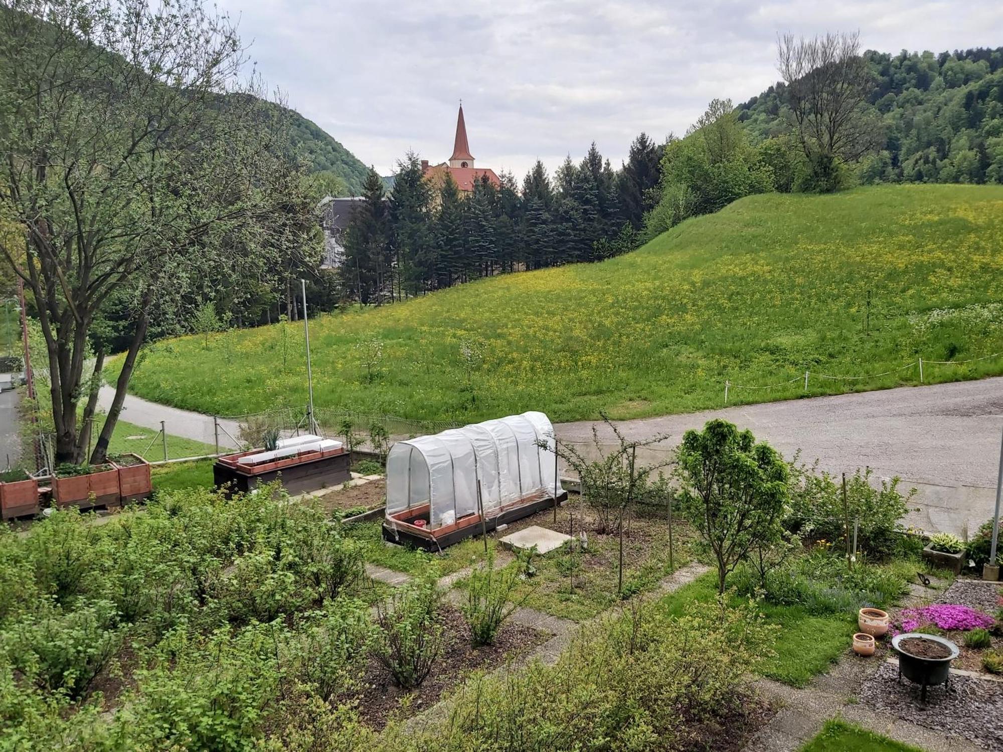Apartment St. Nikola Sankt Nikola an der Donau Kültér fotó