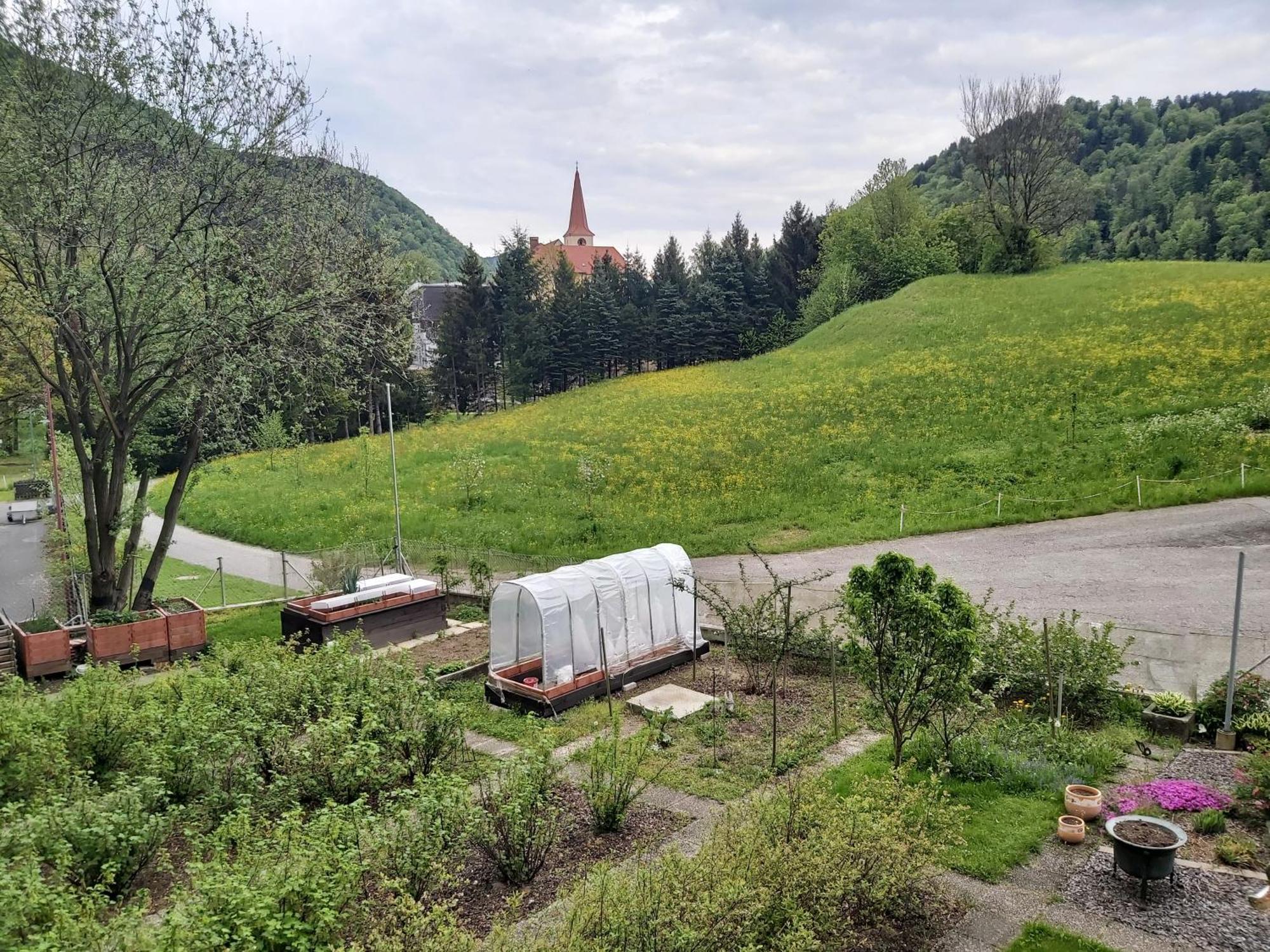 Apartment St. Nikola Sankt Nikola an der Donau Kültér fotó
