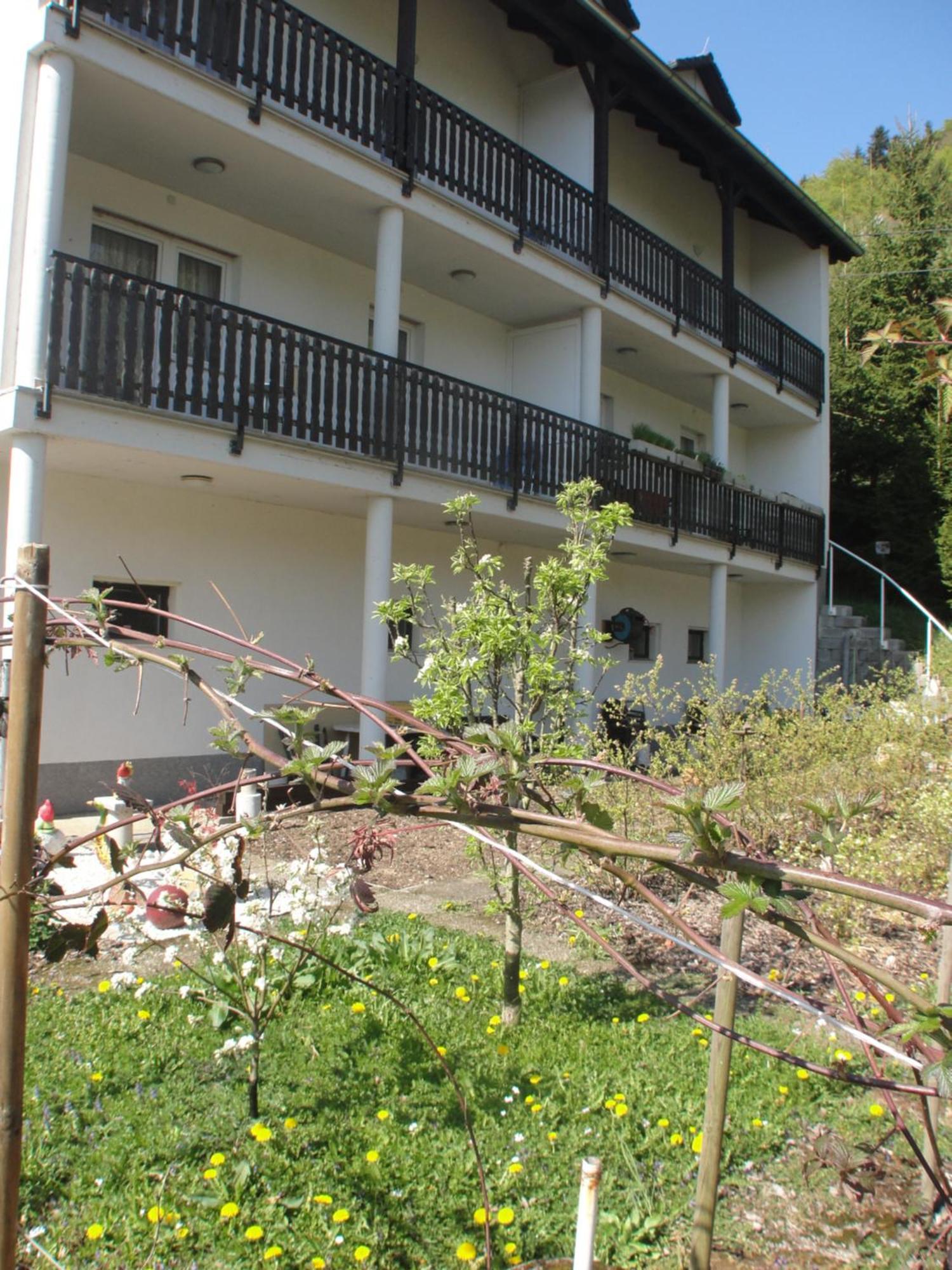 Apartment St. Nikola Sankt Nikola an der Donau Kültér fotó